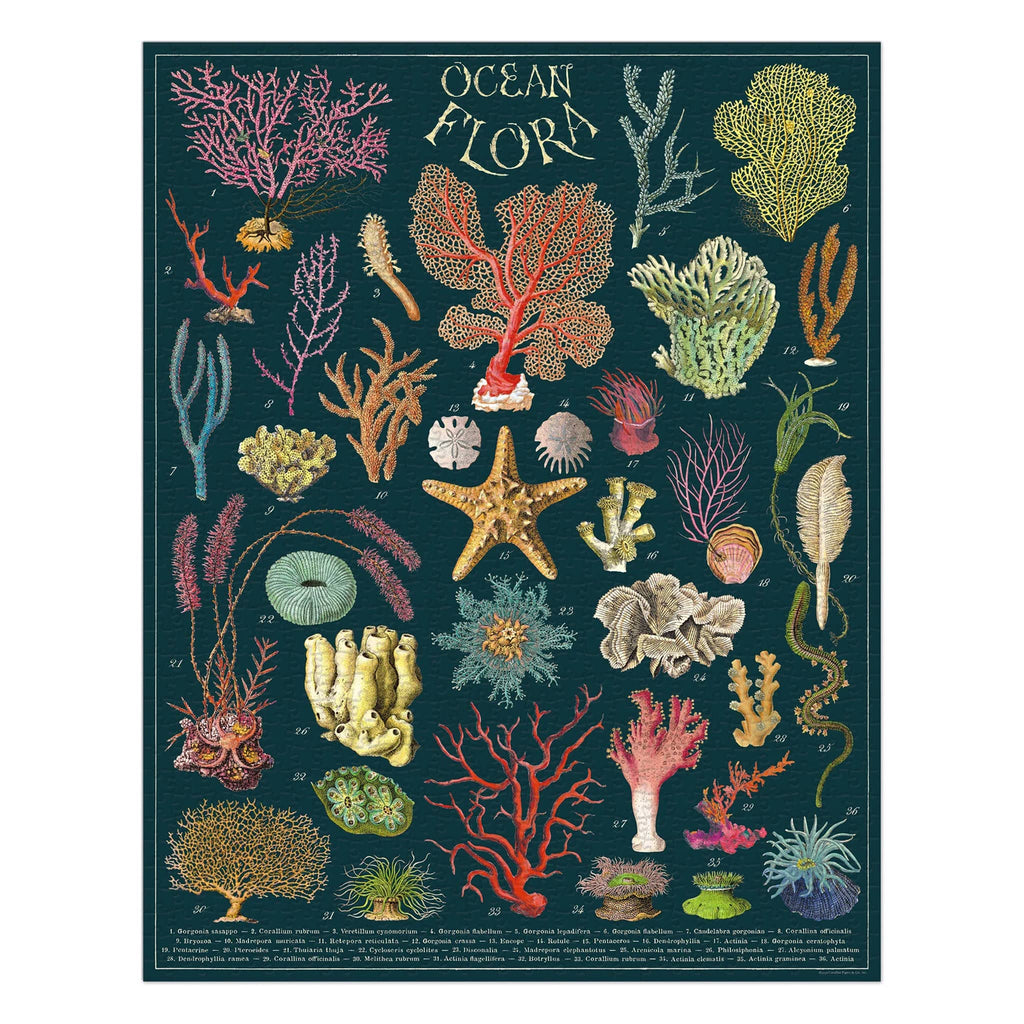 Cavallini & Co. 1000 Piece Ocean Flora Jigsaw Puzzle, original artwork shown.