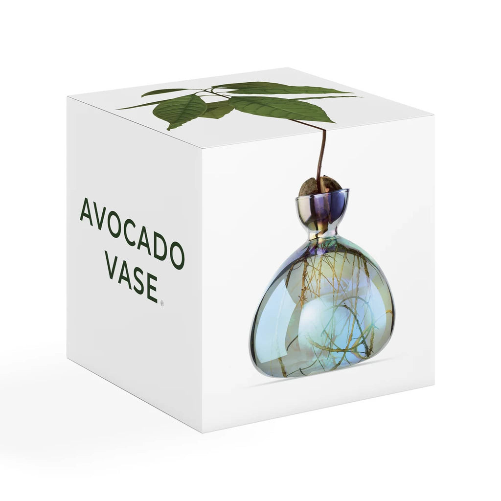 Ilex Studio avocado vase in cosmic lyra, iridescent light aqua blue vase in box packaging.