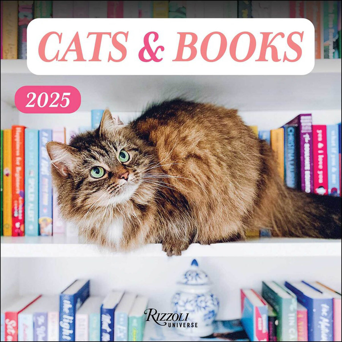 2025 Cats & Books Wall Calendar – Annie's Blue Ribbon General Store