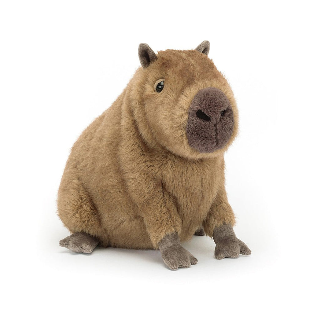 Jellycat Clyde Capybara plush toy, front view.
