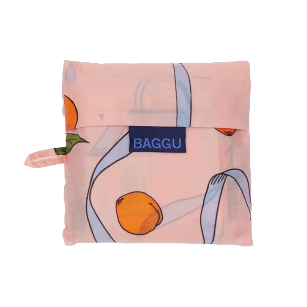 Standard Baggu in Apricots and Ribbons print, in matching pouch.