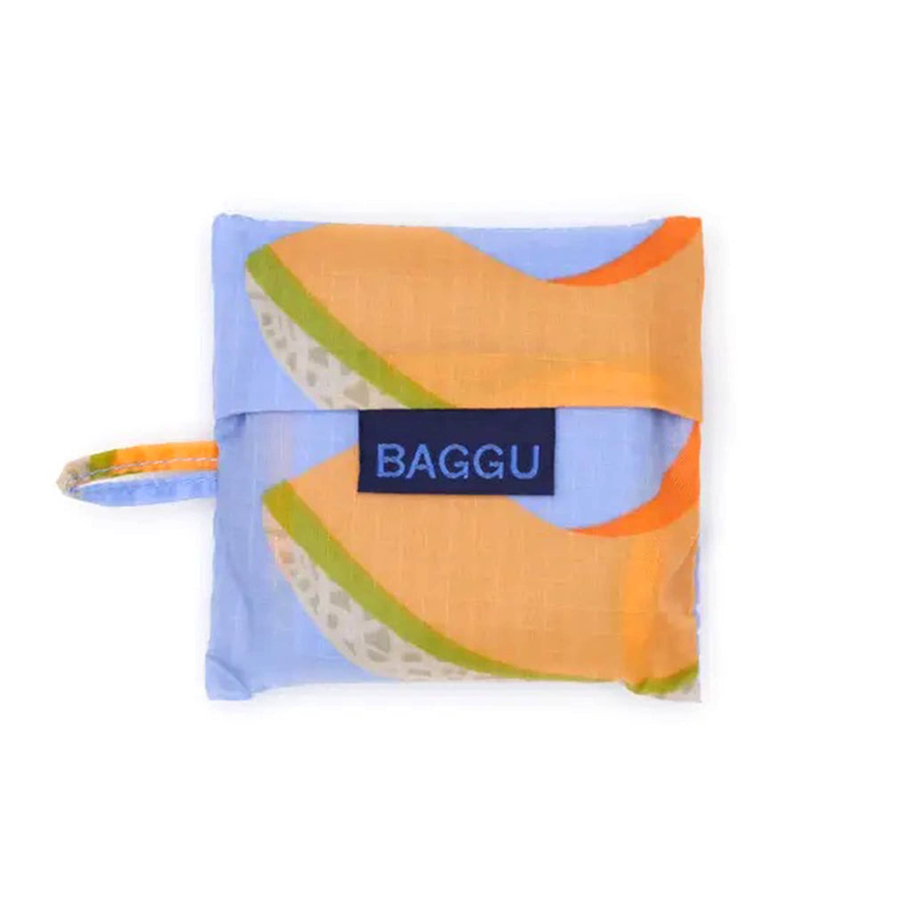 Baby Baggu in Cantaloupe Blue print, in matching pouch.