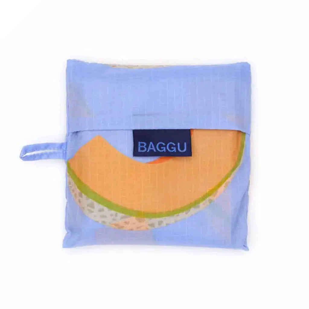 Standard Baggu in Cantaloupe Blue print, in matching pouch.