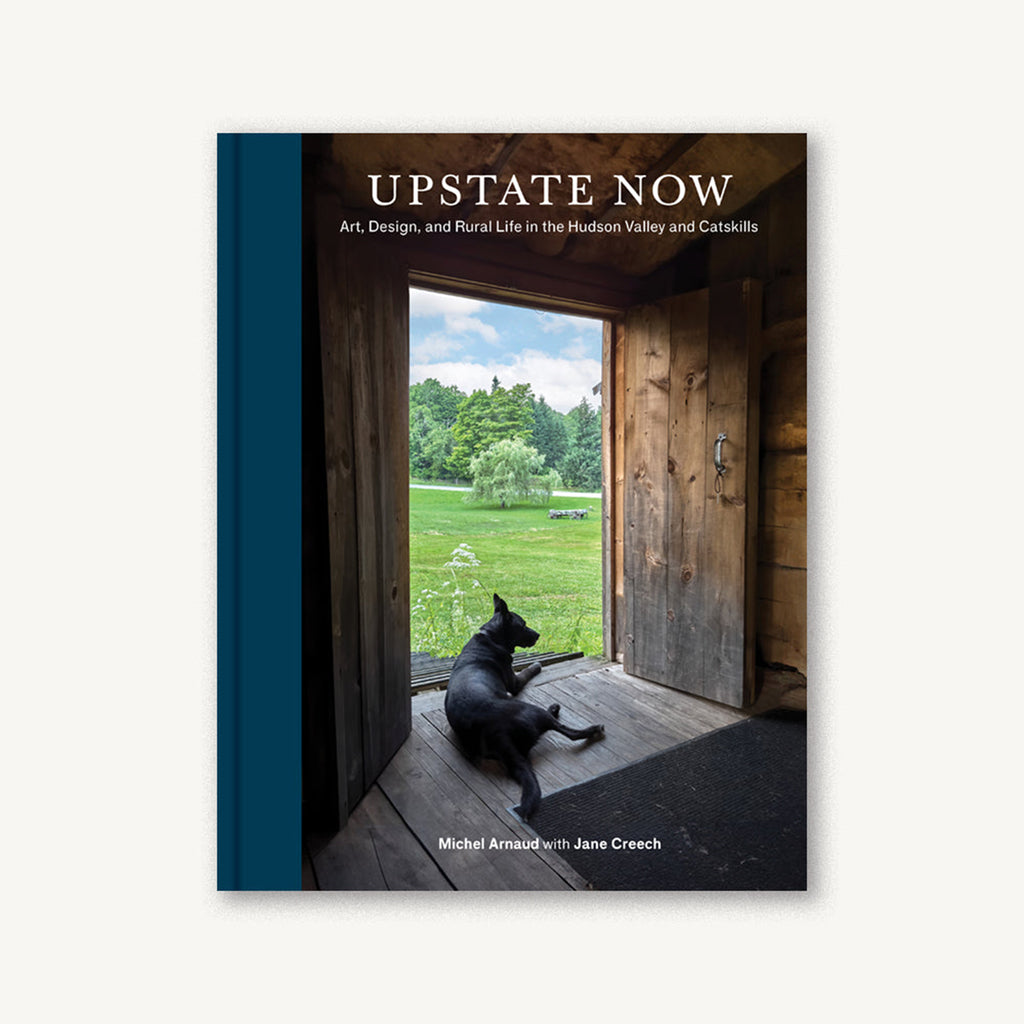 chronicle upstate now book