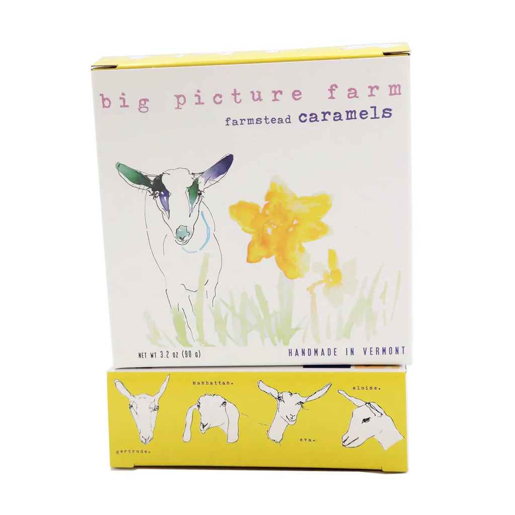 Big Picture Farm Farmstead Goat Milk Caramels in spring daffodil box packaging, front view.