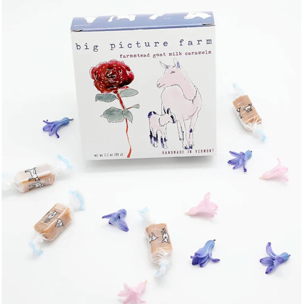 Big Picture Farm Farmstead Goat Milk Caramels with mom and kid box packaging.