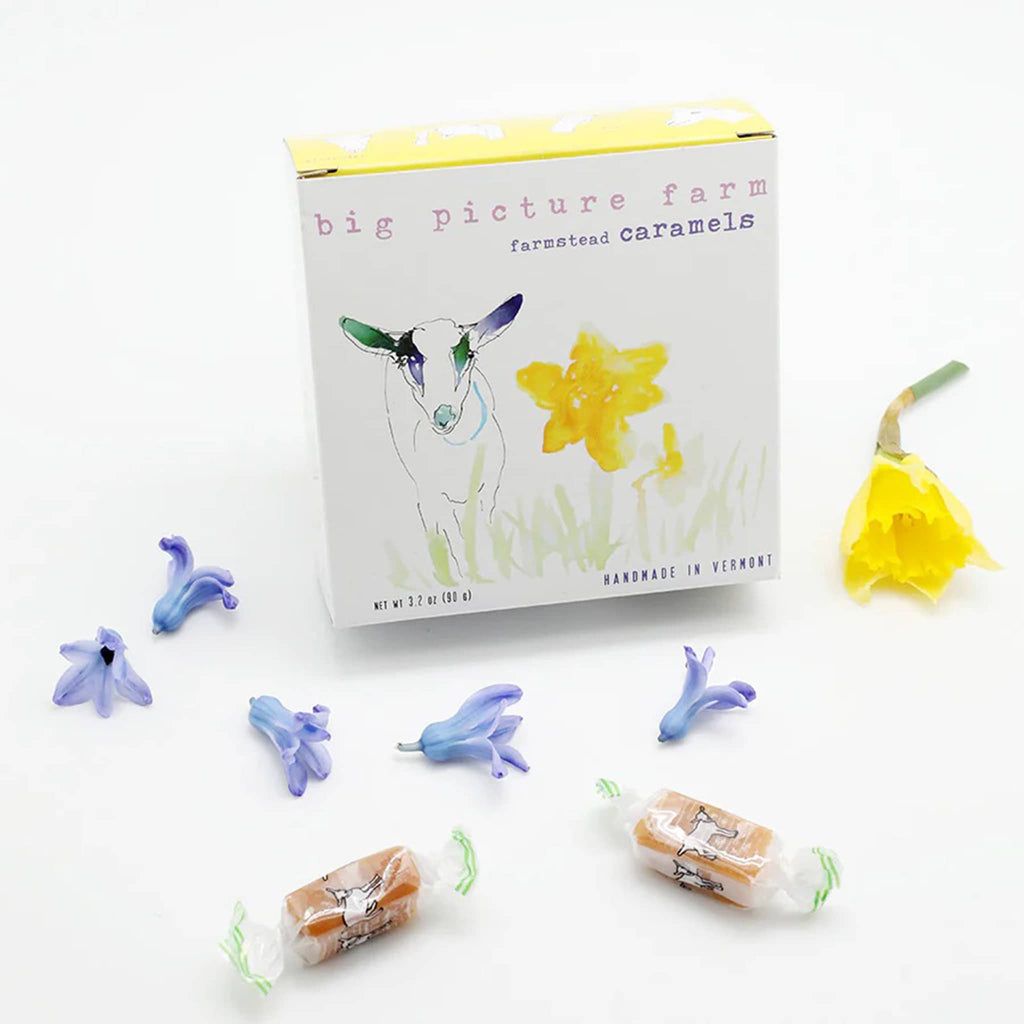 Big Picture Farm Farmstead Goat Milk Caramels with spring daffodil box packaging, front view.
