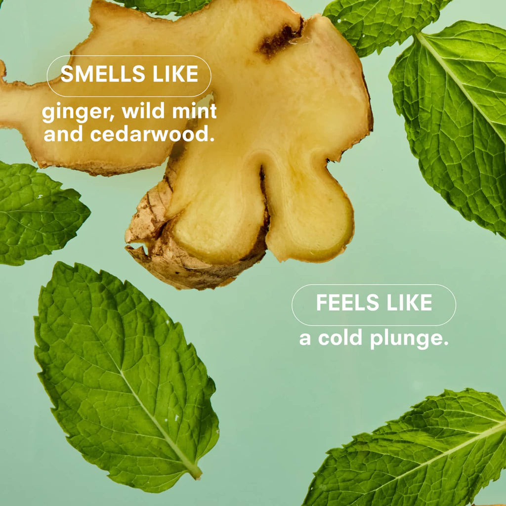 Ginger root with mint leaves on a light green background.