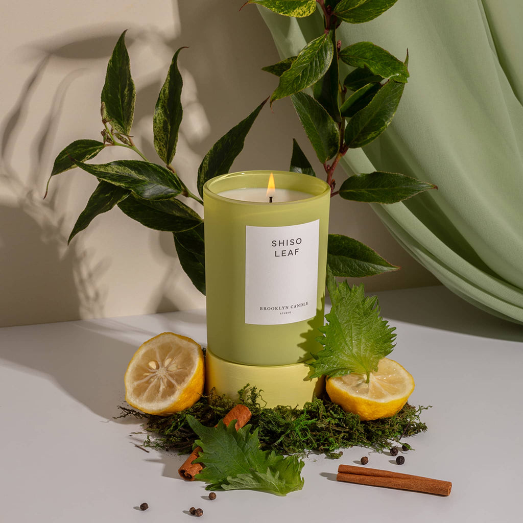 Brooklyn Candle Studio Limited Edition Herbarium Summer Collection, Shiso Leaf scented soy wax candle in chartreuse glass vessel with cinnamon sticks, lemon and shiso leafs with green drape in background.