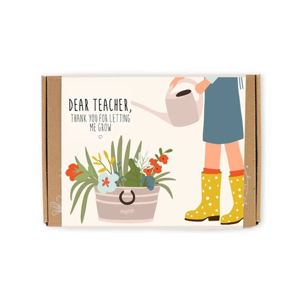 Buzzy Seeds "Dear Teacher" Blossombs Wildflower Seed Balls in box packaging, front view.