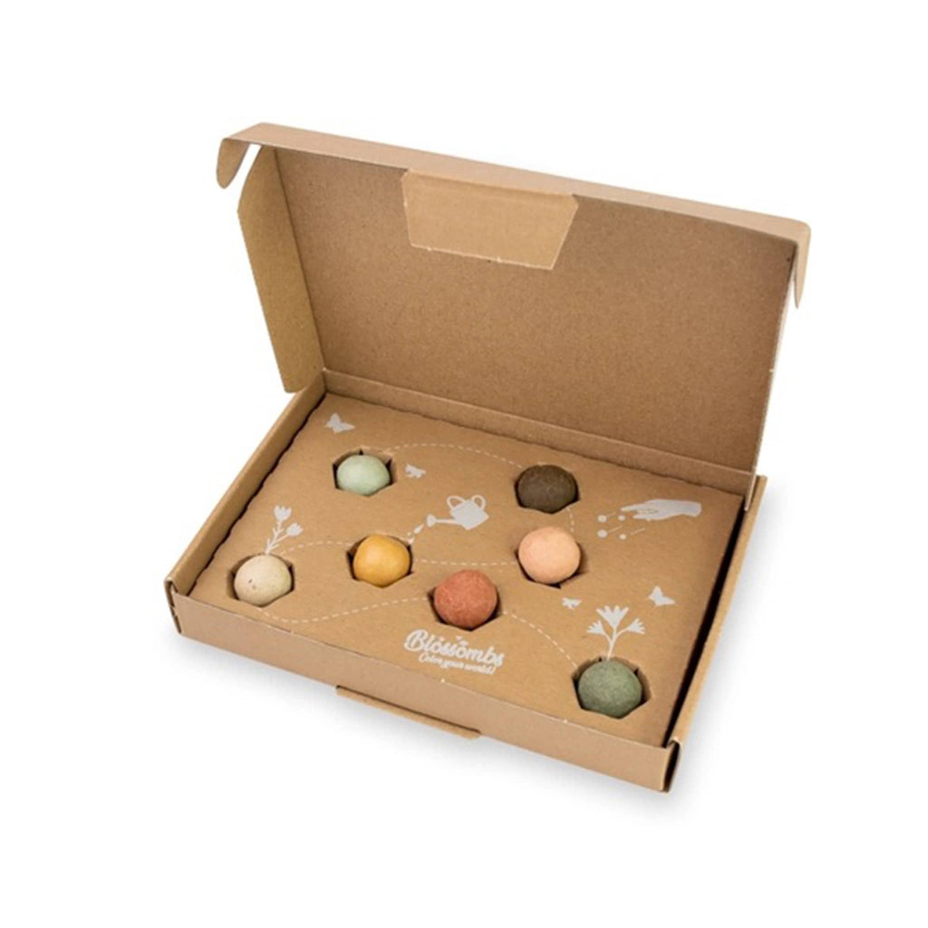 Buzzy Seeds "Dear Teacher" Blossombs Wildflower Seed Balls in box packaging, lid open.