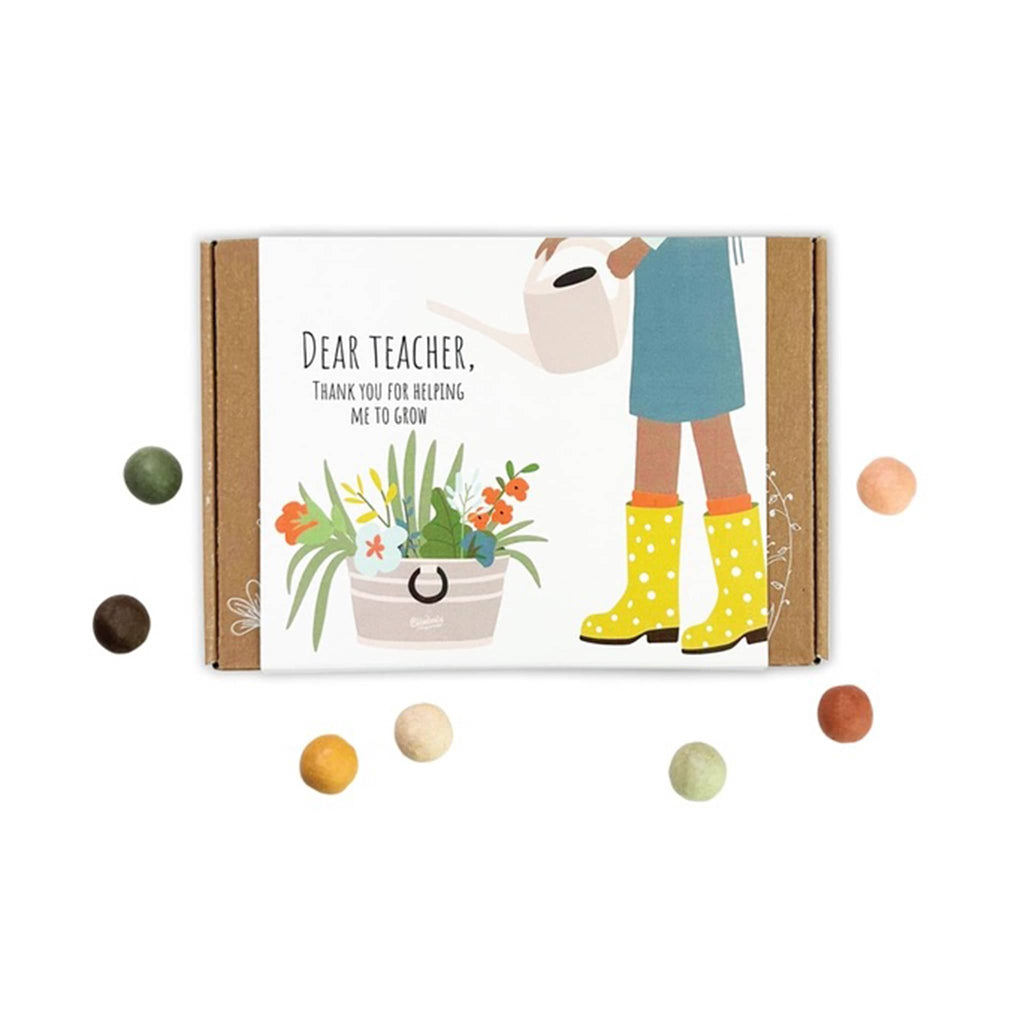 Buzzy Seeds "Dear Teacher" Blossombs Wildflower Seed Balls in box packaging, front view with colorful seed bombs around.