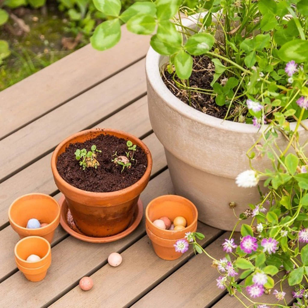 Buzzy Seeds "It's Spring" blossombs wildflower seed balls shown in terracotta pots.