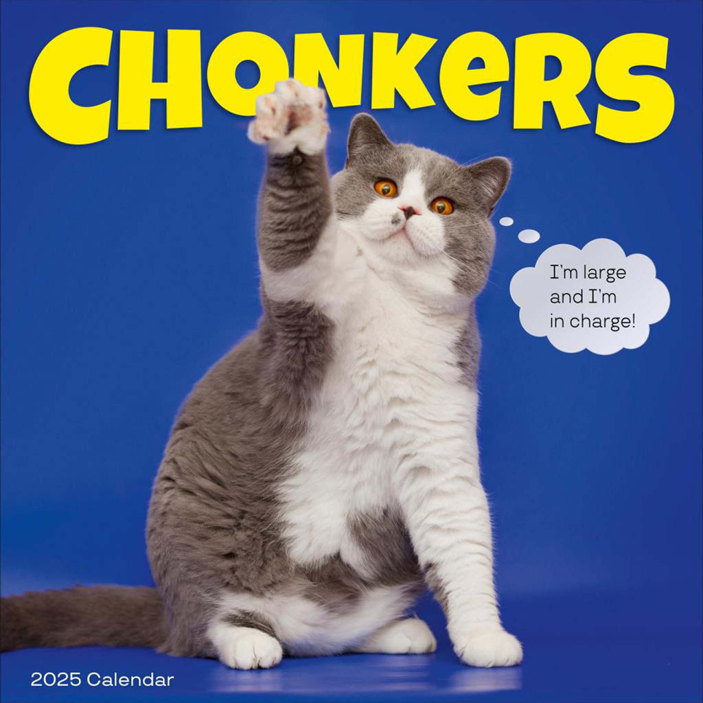 hachette chonkers wall calendar