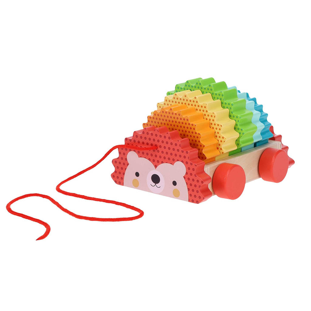 Chronicle Petit Collage Rainbow Hedgehog wooden pull toy, front angle view.