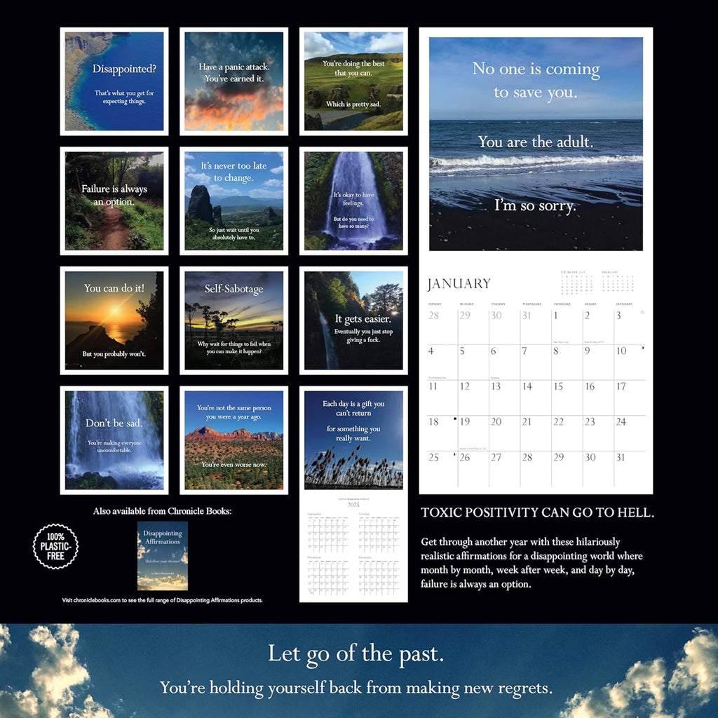 chronicle disappointing affirmations 2026 wall calendar