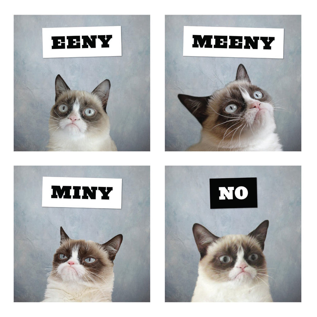 chronicle grumpy cat 2026 wall calendar