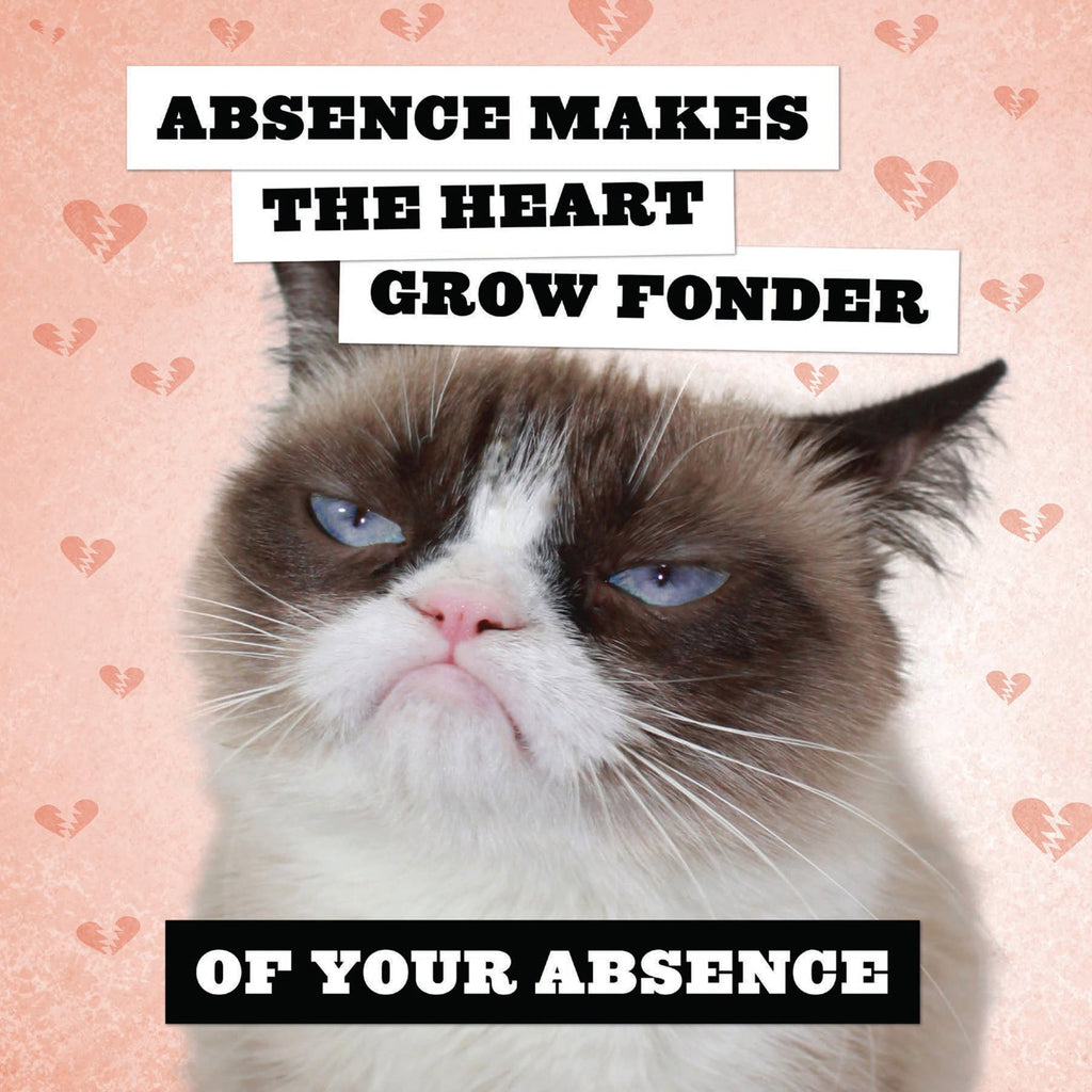 chronicle grumpy cat 2026 wall calendar