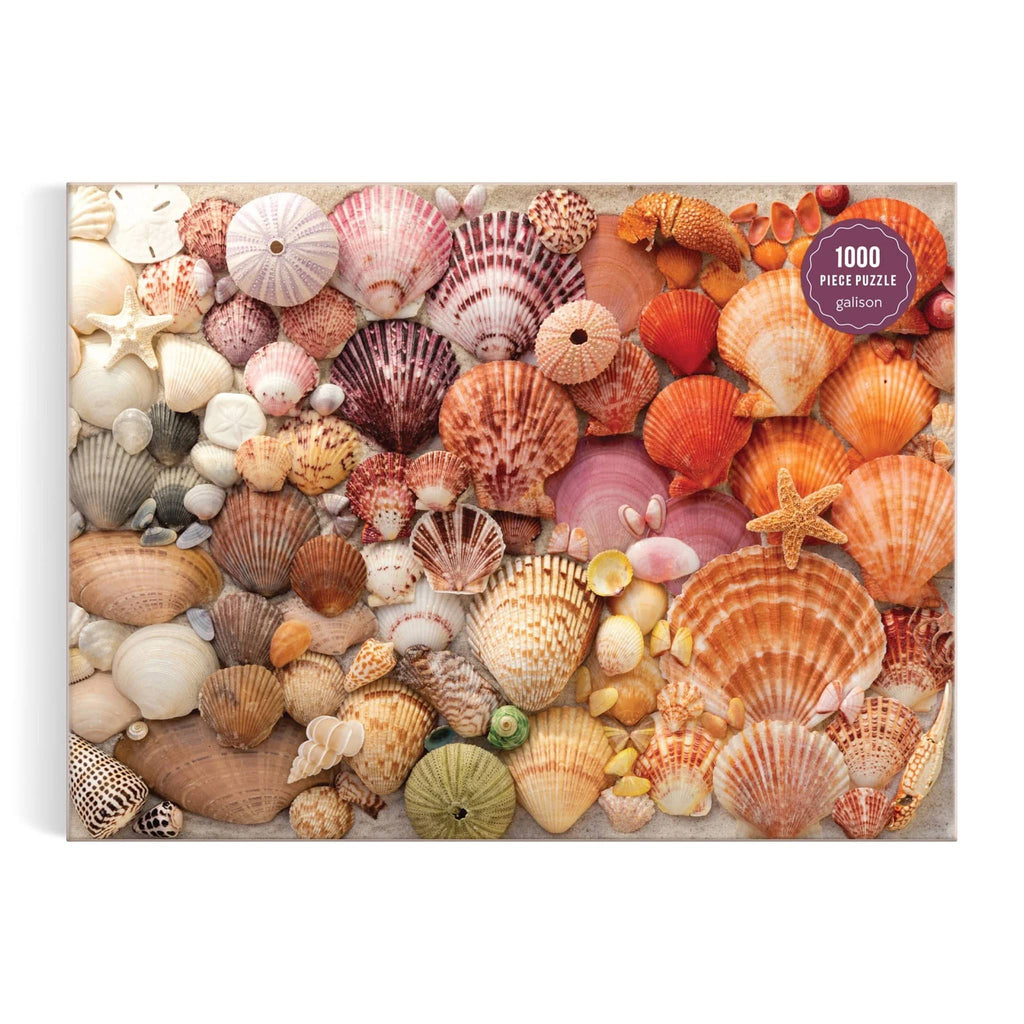 Chronicle Galison 1000 piece Vibrant Seashells jigsaw puzzle in box packaging, front view.