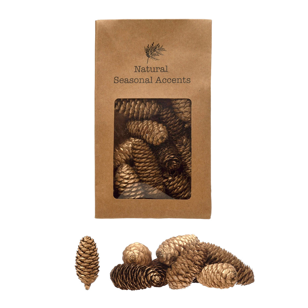 Creative Co-op Dried Natural Pinecones with gold finish in kraft bag packaging with a pile of pinecones in front.