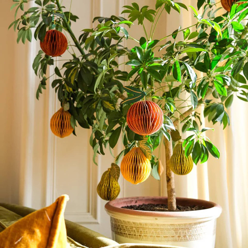 Potted plant with decorative paper honeycomb ornaments hanging from its branches.