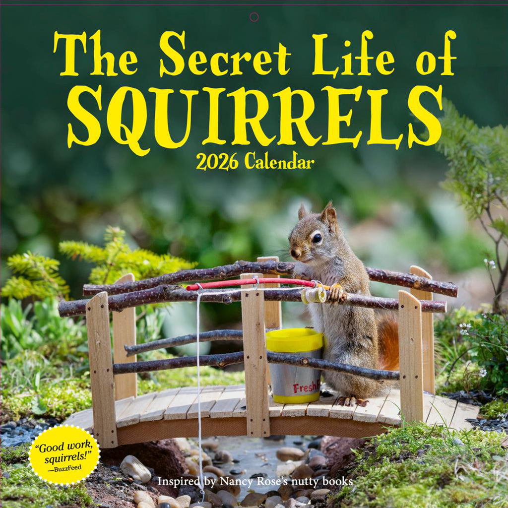 hachette secret life of squirrels wall calendar 2026