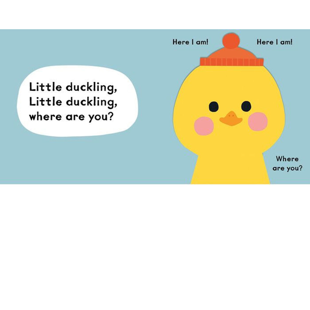 hachette baby faces little bunny book