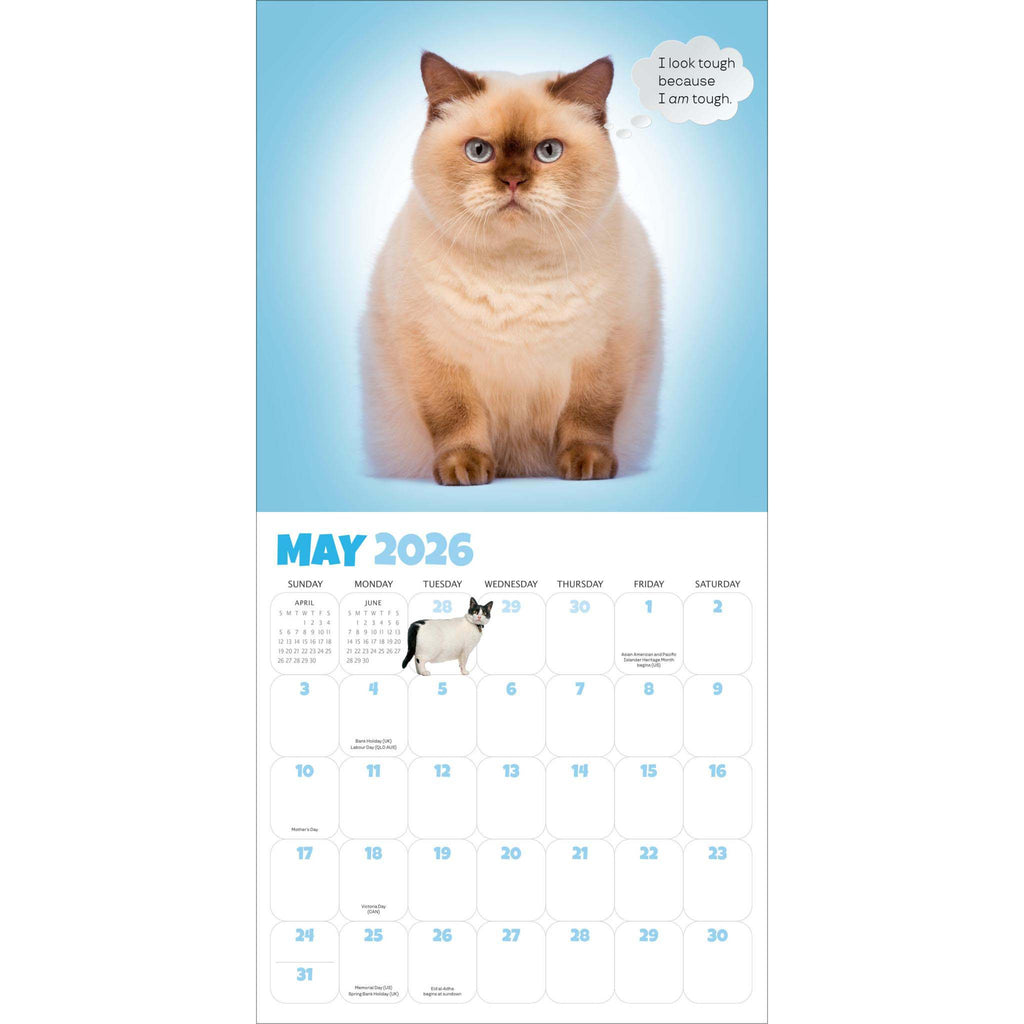 hachette chonkers wall calendar 2026