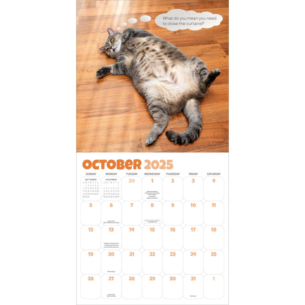 hachette chonkers wall calendar