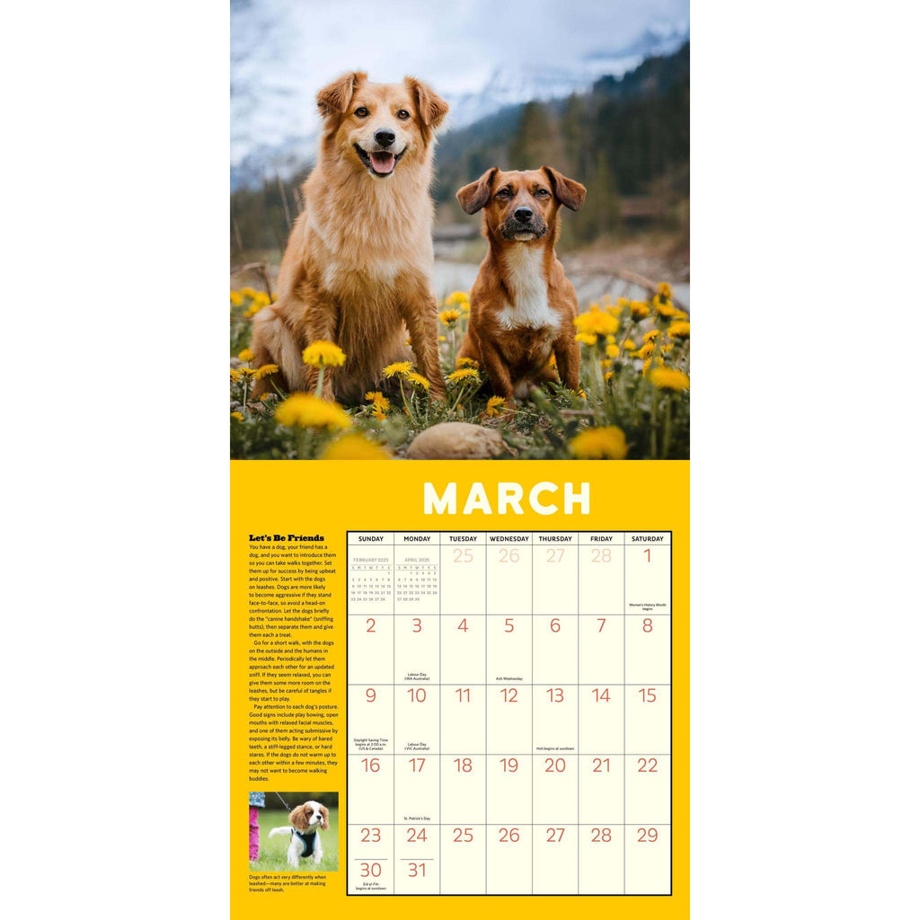 hachette how to speak dog wall calendar 2025