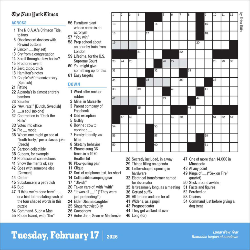 hachette new york times crossword page a day