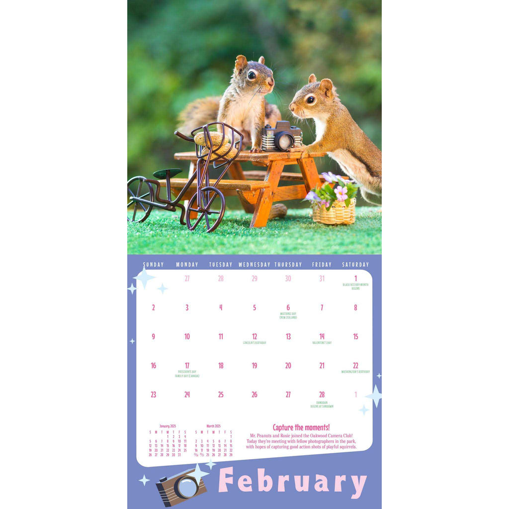 Hachette 2025 The Secret Life of Squirrels mini wall calendar, February sample page.