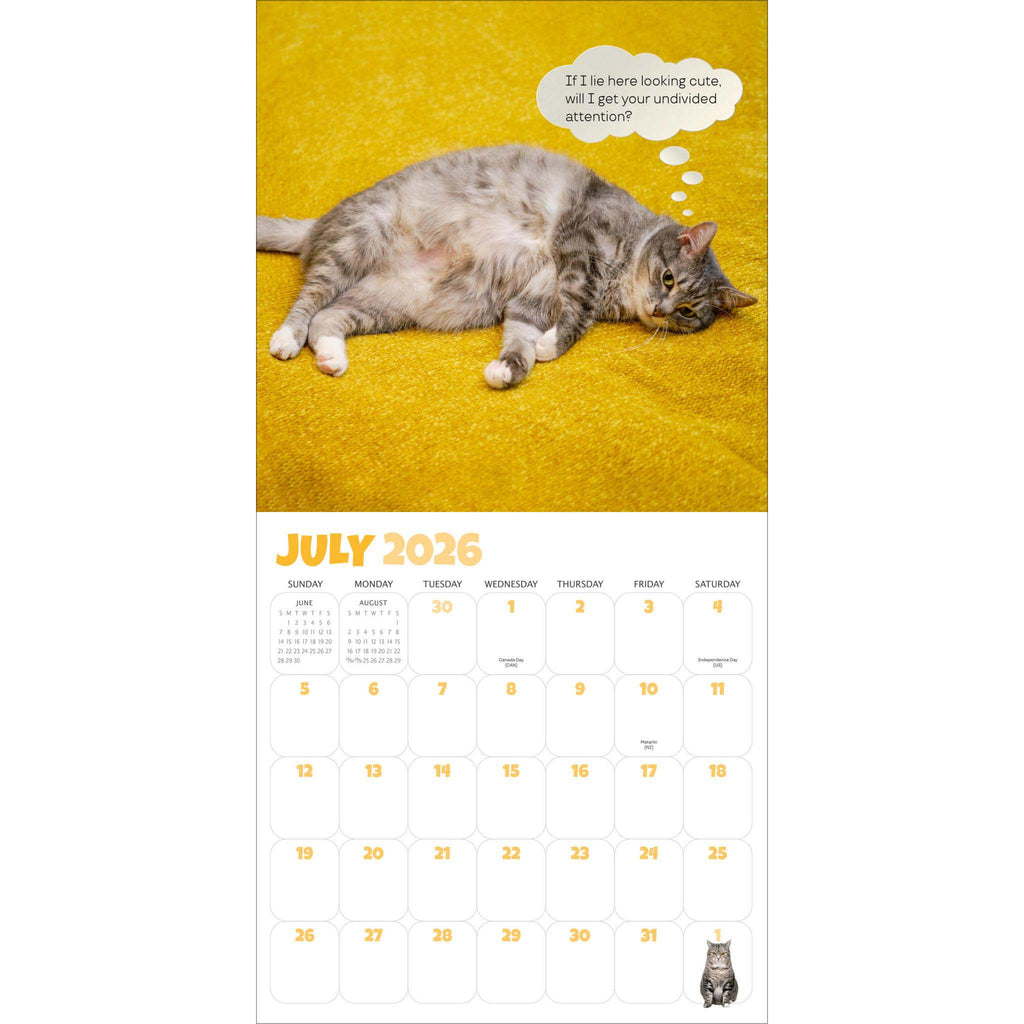 hachette chonkers wall calendar 2026