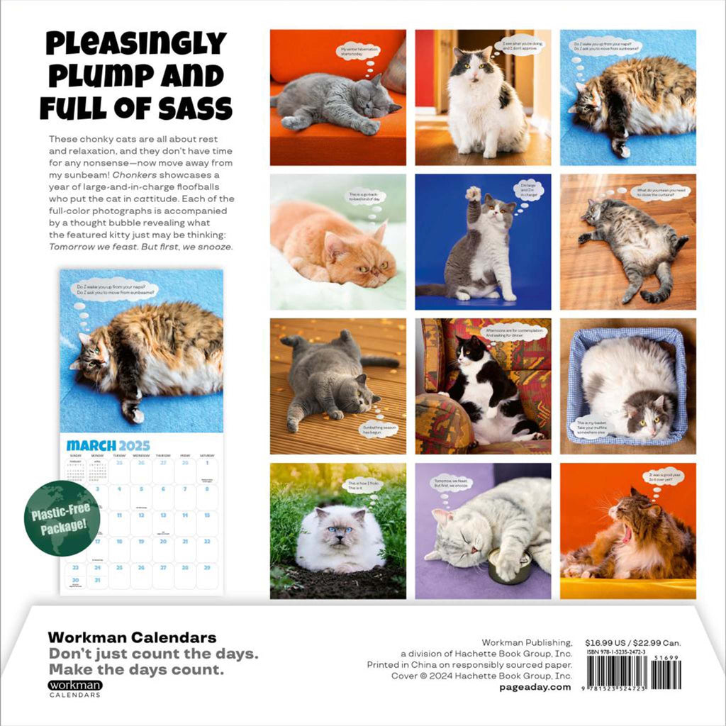 hachette chonkers wall calendar