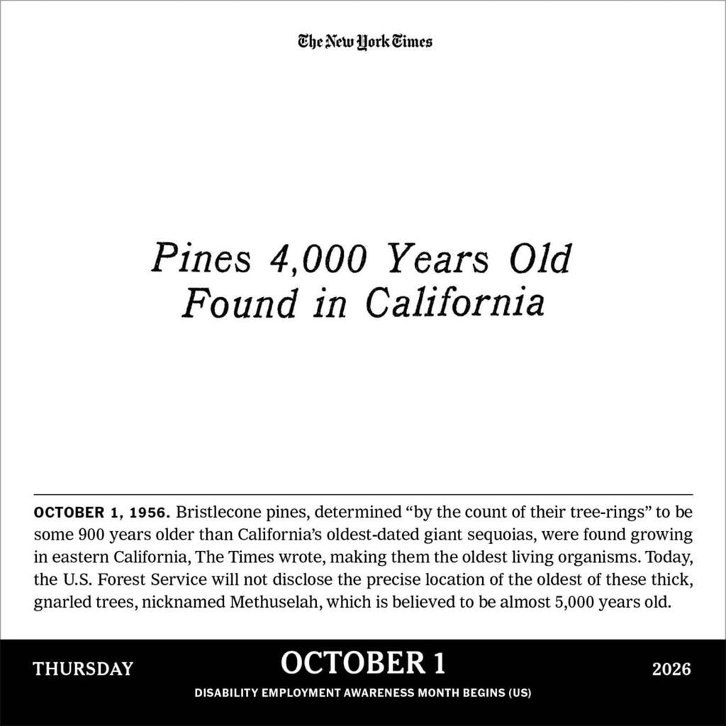 hachette new york times headlines in history page a day