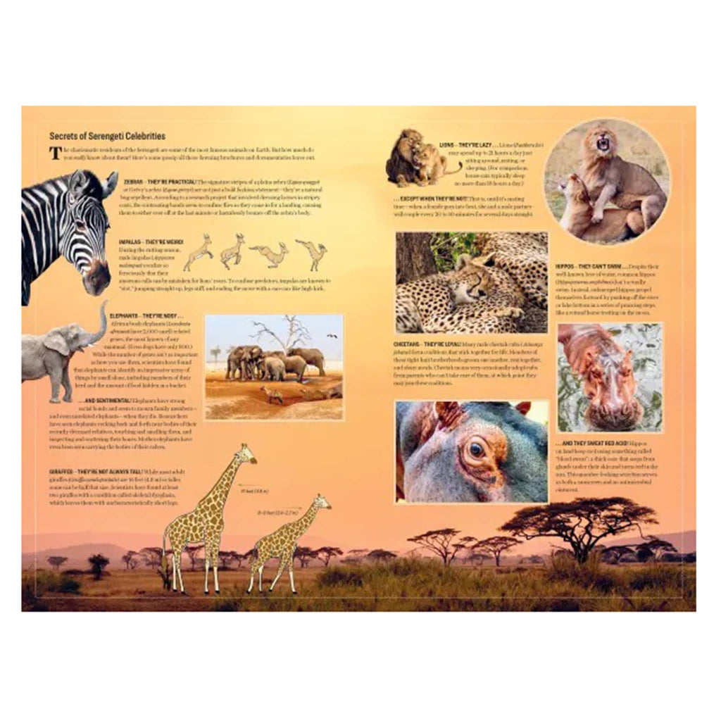 Hachette Atlas Obscura Wild Life, hardcover book, sample page with secrets of Serengeti celebrities.