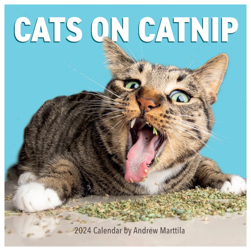 Hachette Workman Publishing 2024 Cats on Catnip wall calendar, front cover.