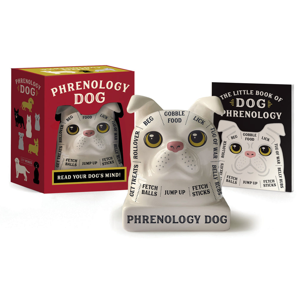 Hachette Phrenology Dog mini kit with dog head figurine, mini book and box packaging.