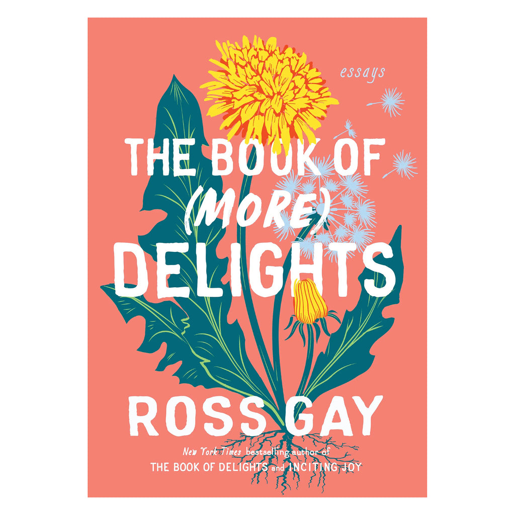 Hachette The Book of (More) Delights by Ross Gary, hardcover book front cover.