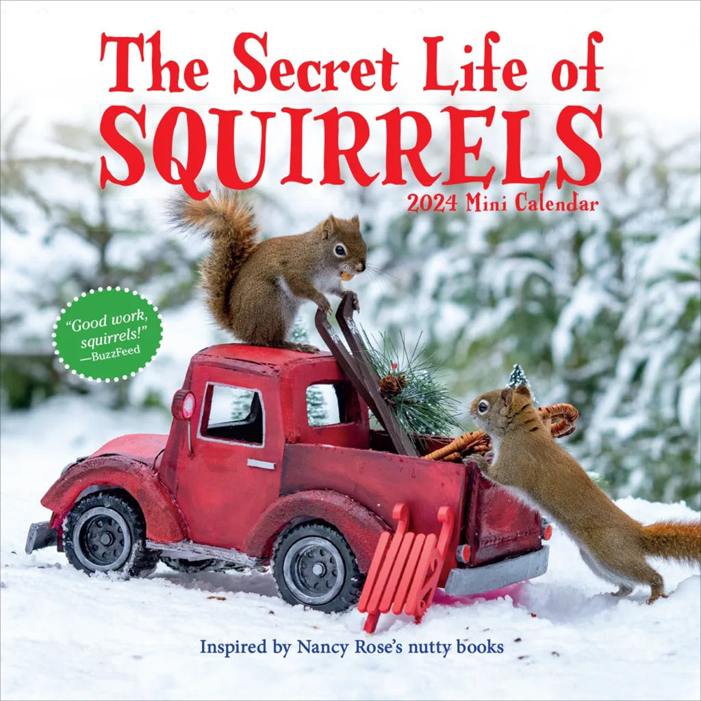 Hachette Workman Publishing 2024 The Secret Life of Squirrels mini wall calendar, front cover with 2 squirrels and a vintage red toy pickup truck.