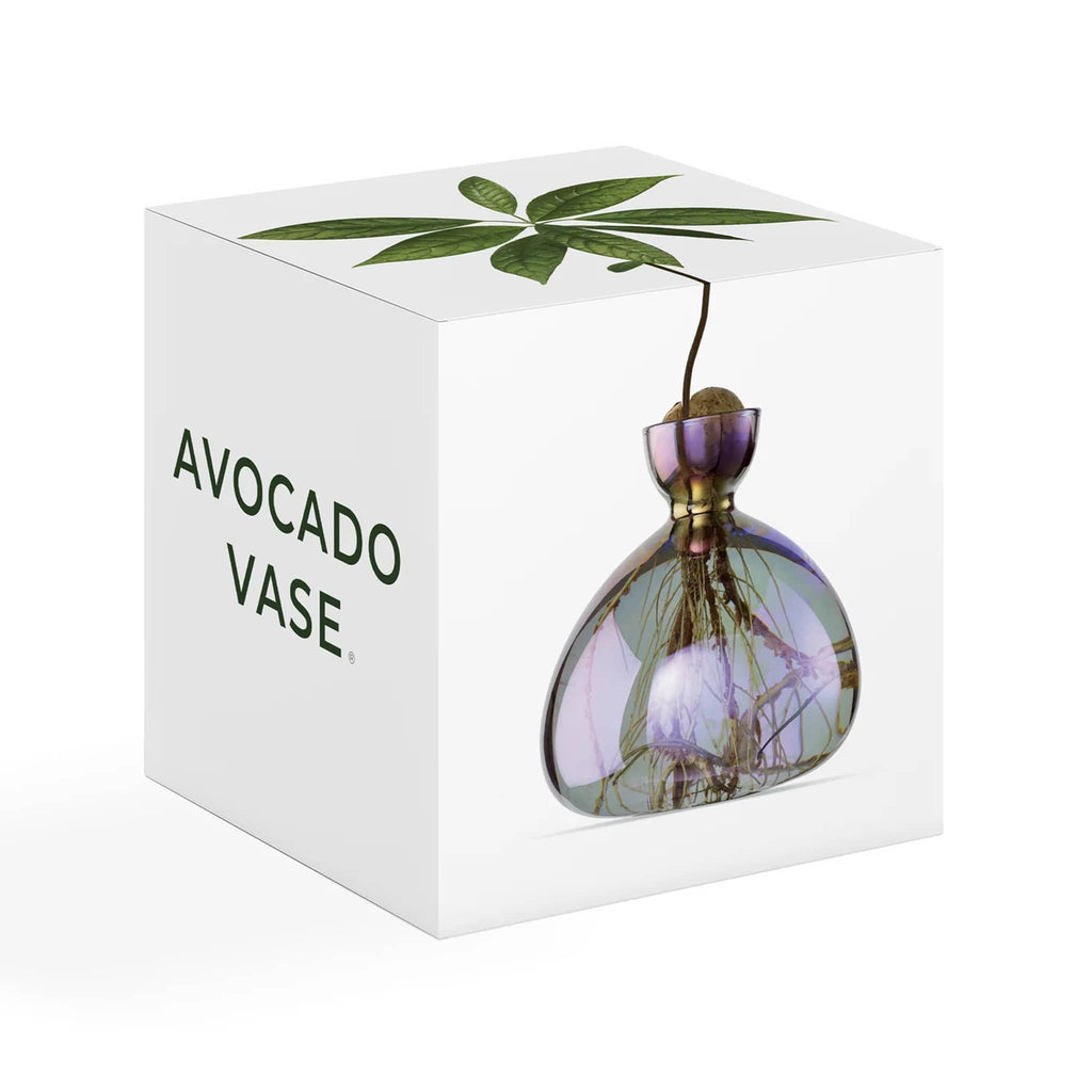 Ilex Studio avocado vase in cosmic vega, iridescent purple vase in box packaging.