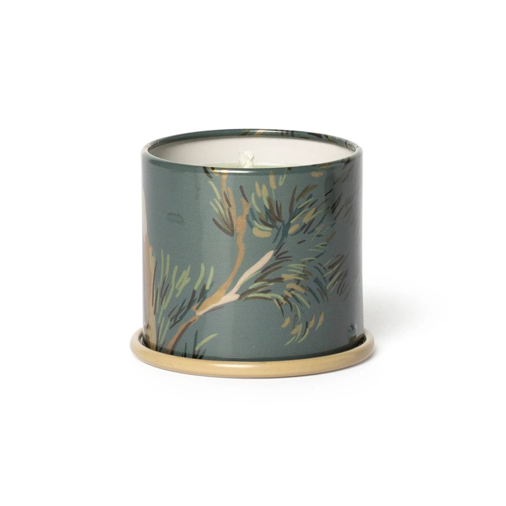 Hinoki Sage scented candle in a decorative container with green and gold design on a white background.