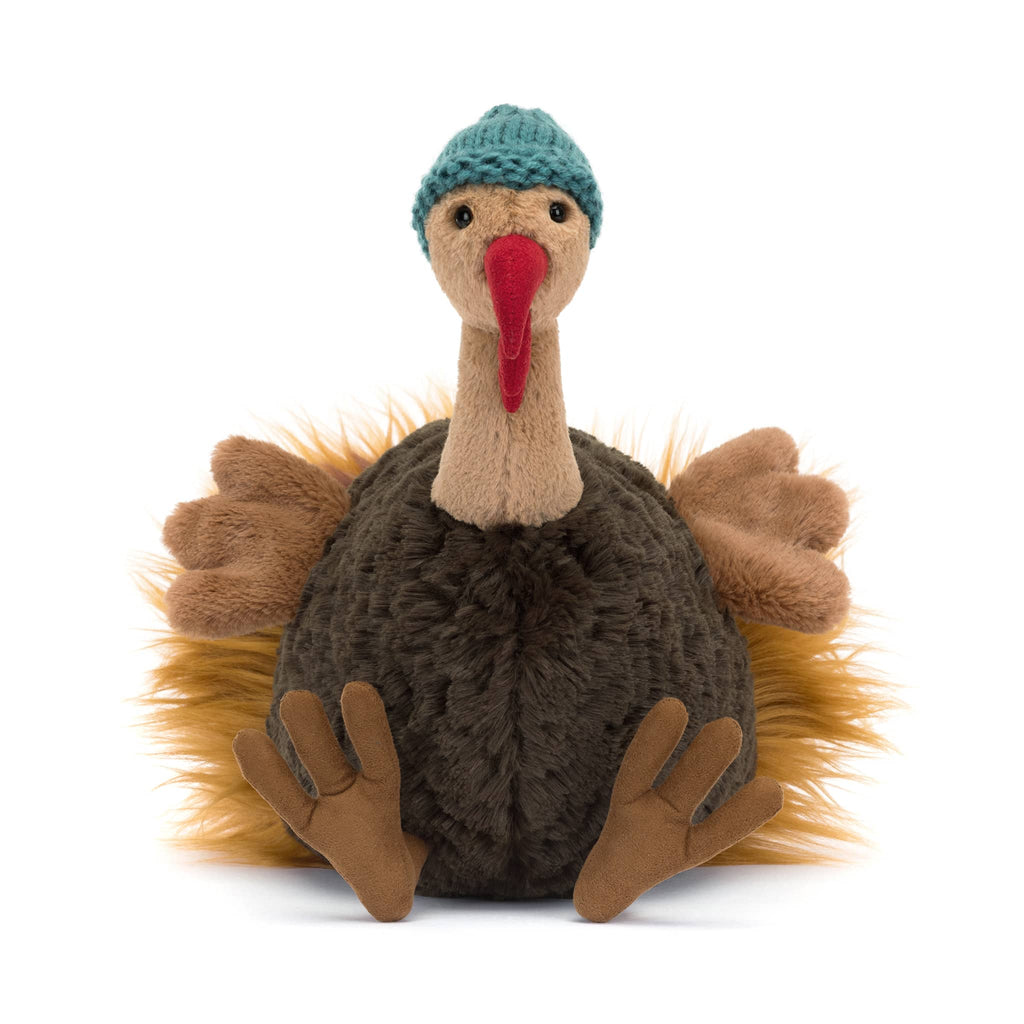 Plush toy turkey with a blue knitted hat, front view, on a white background.