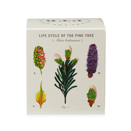 KOBO Rustic Pine Scented Candle - Thumbnail 2