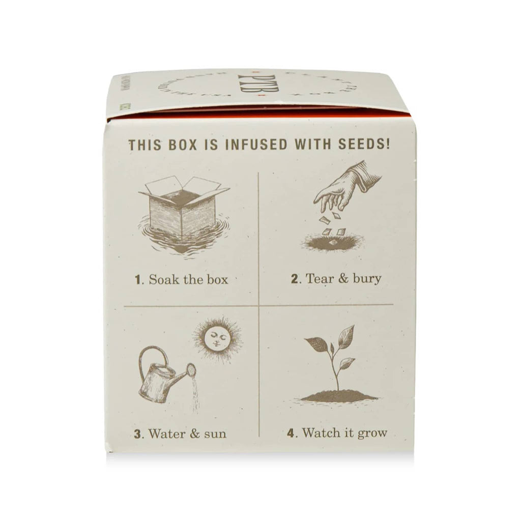 Box with instructions for planting seeds on a white background.
