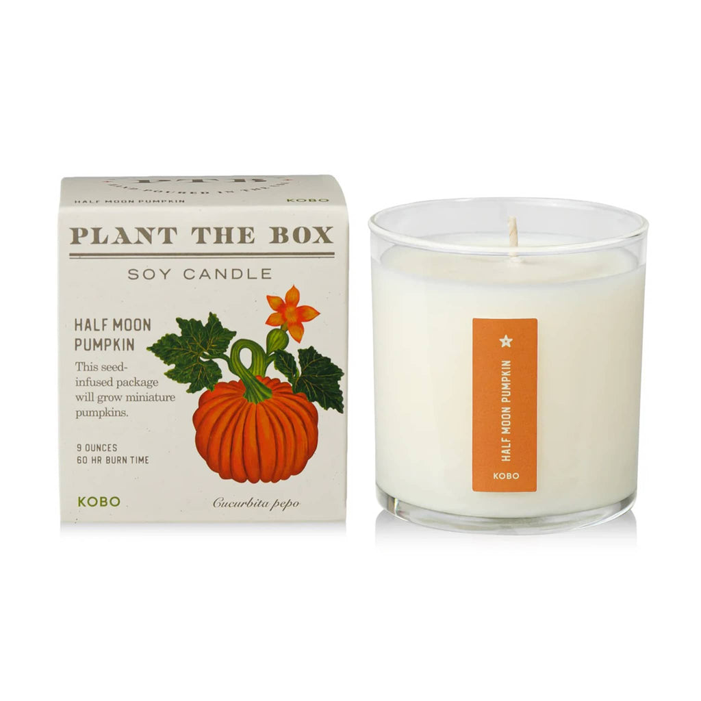 Soy candle with 'Plant The Box' packaging featuring a pumpkin design on a white background.