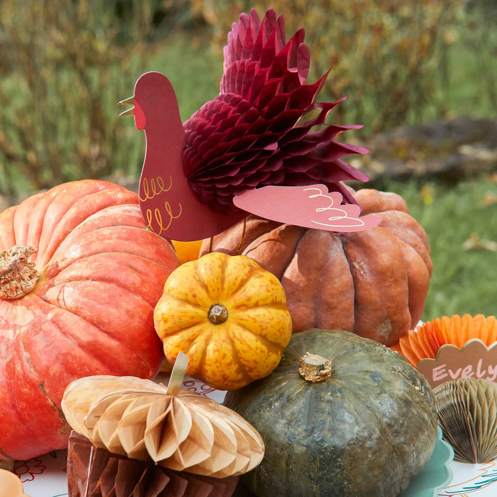 Meri Meri Mixed Thanksgiving Honeycomb Decorations, turkey and acorn with assorted squash.