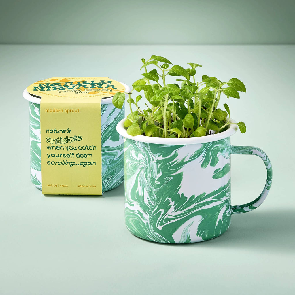 Modern Sprout Altered Herb Mug Nearly Nirvana Holy Basil Grow Kit with packaging and with mug that has basil growing out of it.