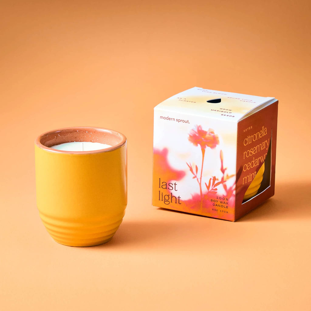 Modern Sprout Last Light Garden Vibes scented soy wax candle with marigold seeds, with box packaging.