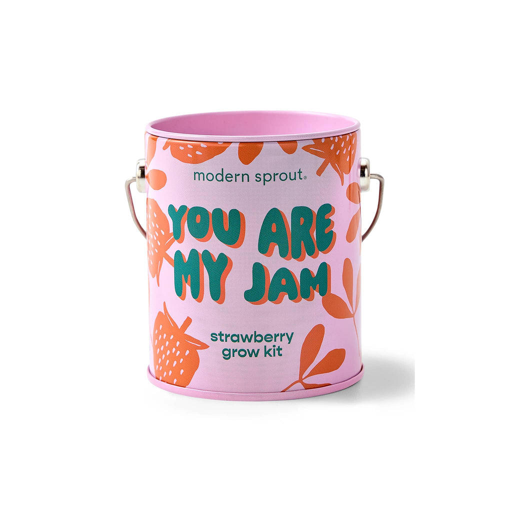 Modern Sprout Strawberry Complimentary Colors Grow Kit in pink mini paint can packaging, front view.